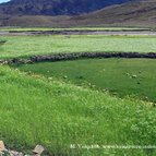 Asien Reisen - Bilder zum Buch: Heilige Stätten in Tibet