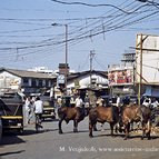 Asien Reisen - Bilder zum Buch: Auf alten Handelsrouten