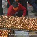 Asien Reisen - Bilder zum Buch: Reisen durch Indien und Nepal