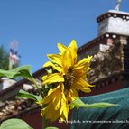 Asien Reisen - Bilder zum Buch: Heilige Stätten in Tibet