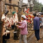 Asien Reisen - Bilder zum Buch: Durch die Weiten Asiens