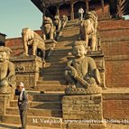 Asien Reisen - Bilder zum Buch: Reisen durch Indien und Nepal