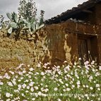 Asien Reisen - Bilder zum Buch: Durch die Weiten Asiens