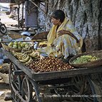 Asien Reisen - Bilder zum Buch: Auf alten Handelsrouten