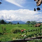 Asien Reisen - Bilder zum Buch: Durch die Weiten Asiens