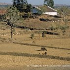 Asien Reisen - Bilder zum Buch: Auf alten Handelsrouten