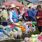 Asien Reisen - Bilder zum Buch: Durch die Weiten Asiens