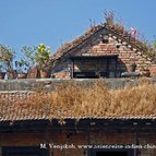 Asien Reisen - Bilder zum Buch: Reisen durch Indien und Nepal