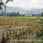 Asien Reisen - Bilder zum Buch: Durch die Weiten Asiens