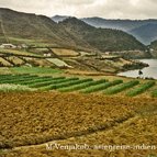 Asien Reisen - Bilder zum Buch: Durch die Weiten Asiens-China-Guangxi, Felder 