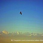 Asien Reisen - Bilder zum Buch: Reisen durch Indien und Nepal