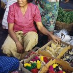 Asien Reisen - Bilder zum Buch: Durch die Weiten Asiens