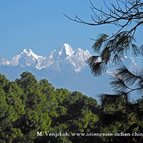 Asien Reisen - Bilder zum Buch: Reisen durch Indien und Nepal