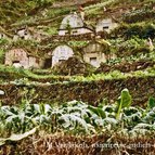 Asien Reisen - Bilder zum Buch: Durch die Weiten Asiens