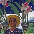 Asien Reisen - Bilder zum Buch: Durch die Weiten Asiens