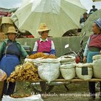 Asien Reisen - Bilder zum Buch: Durch die Weiten Asiens