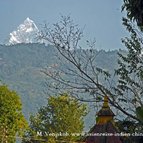 Asien Reisen - Bilder zum Buch: Reisen durch Indien und Nepal