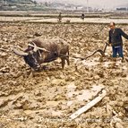 Asien Reisen - Bilder zum Buch: Durch die Weiten Asiens