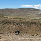 Asien Reisen - Bilder zum Buch: Heilige Stätten in Tibet