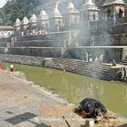 Asien Reisen - Bilder zum Buch: Reisen durch Indien und Nepal