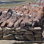 Asien Reisen - Bilder zum Buch: Heilige Stätten in Tibet