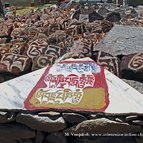 Asien Reisen - Bilder zum Buch: Heilige Stätten in Tibet