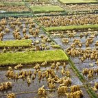 Asien Reisen - Bilder zum Buch: Durch die Weiten Asiens