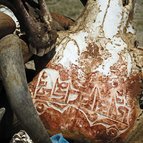 Asien Reisen - Bilder zum Buch: Heilige Stätten in Tibet