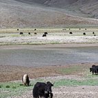 Asien Reisen - Bilder zum Buch: Heilige Stätten in Tibet