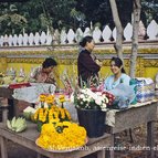 Asien Reisen - Bilder zum Buch: Durch die Weiten Asiens