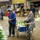 Asien Reisen - Bilder zum Buch: Durch die Weiten Asiens