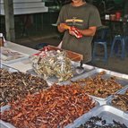 Asien Reisen - Bilder zum Buch: Durch die Weiten Asiens