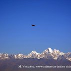 Asien Reisen - Bilder zum Buch: Reisen durch Indien und Nepal