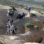 Asien Reisen - Bilder zum Buch: Heilige Stätten in Tibet