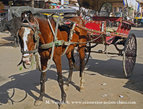 Asien Reisen - Bilder zum Buch: Reisen durch Indien und Nepal