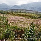 Asien Reisen - Bilder zum Buch: Durch die Weiten Asiens