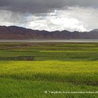 Asien Reisen - Bilder zum Buch: Heilige Stätten in Tibet