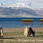 Asien Reisen - Bilder zum Buch: Heilige Stätten in Tibet