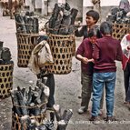 Asien Reisen - Bilder zum Buch: Durch die Weiten Asiens