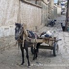 Asien Reisen - Bilder zum Buch: Heilige Stätten in Tibet