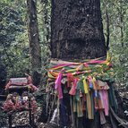 Asien Reisen - Bilder zum Buch: Durch die Weiten Asiens