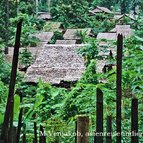 Asien Reisen - Bilder zum Buch: Durch die Weiten Asiens