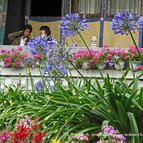 Asien Reisen - Bilder zum Buch: Heilige Stätten in Tibet