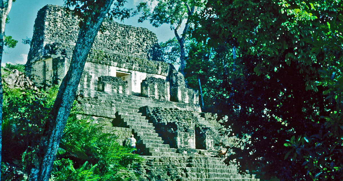 100 Guatemala Tikal Dschungel